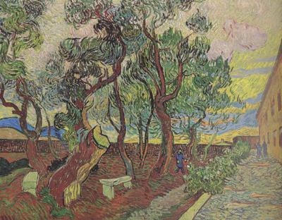 Vincent Van Gogh The Garden of Saint-Paul Hospital (nn04)